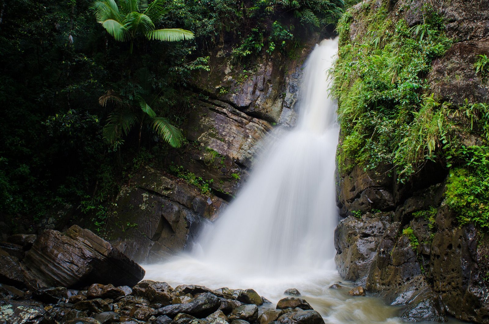 Waterfall surrounded by lush rainforest in El Yunque