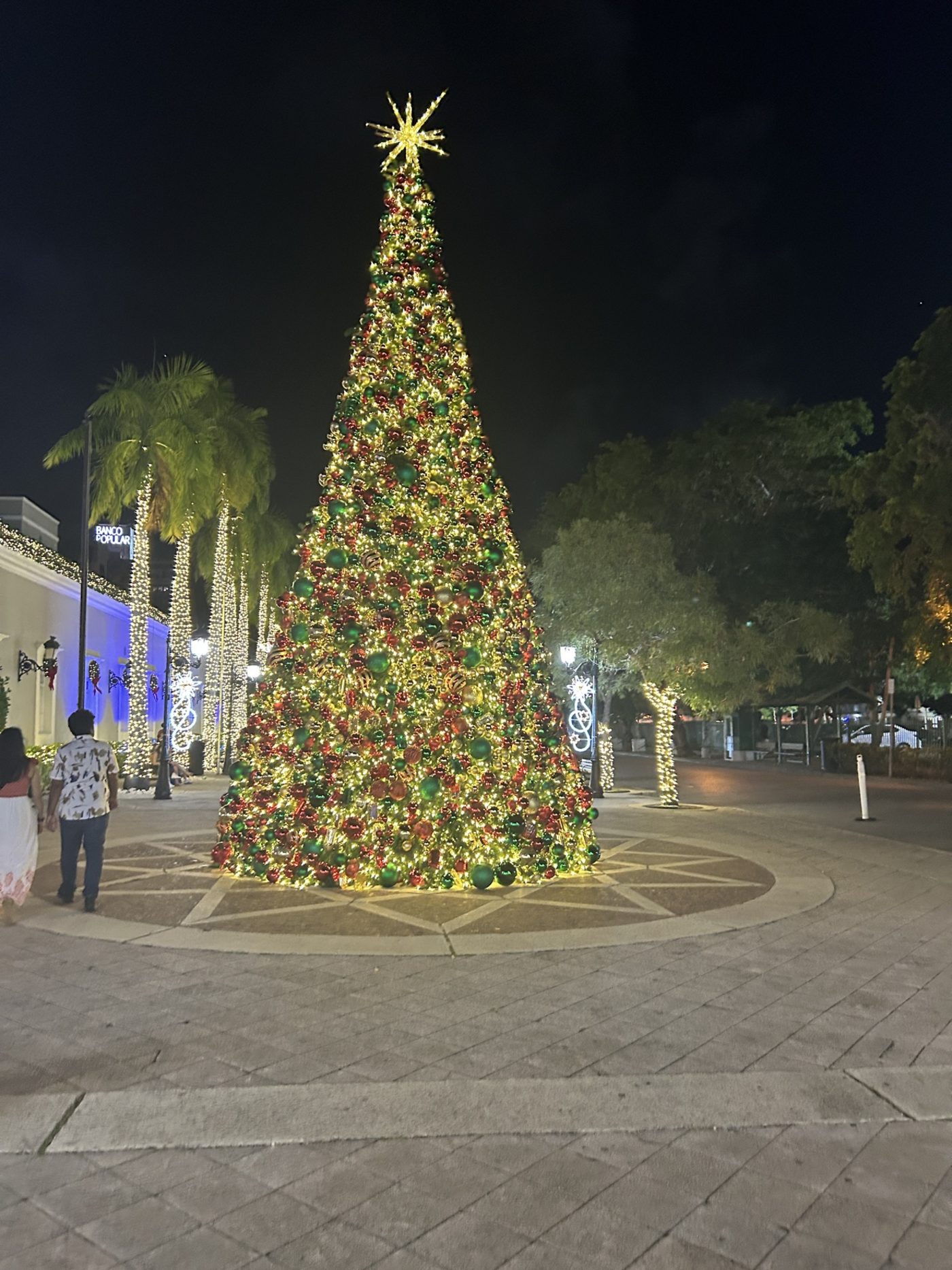 Giant illuminated Christmas tree on the Old San Juan promenade at night