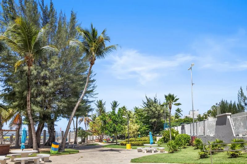Beachfront lawn and palms beside Isla Verde Beach